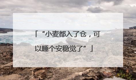 “小麦都入了仓，可以睡个安稳觉了”